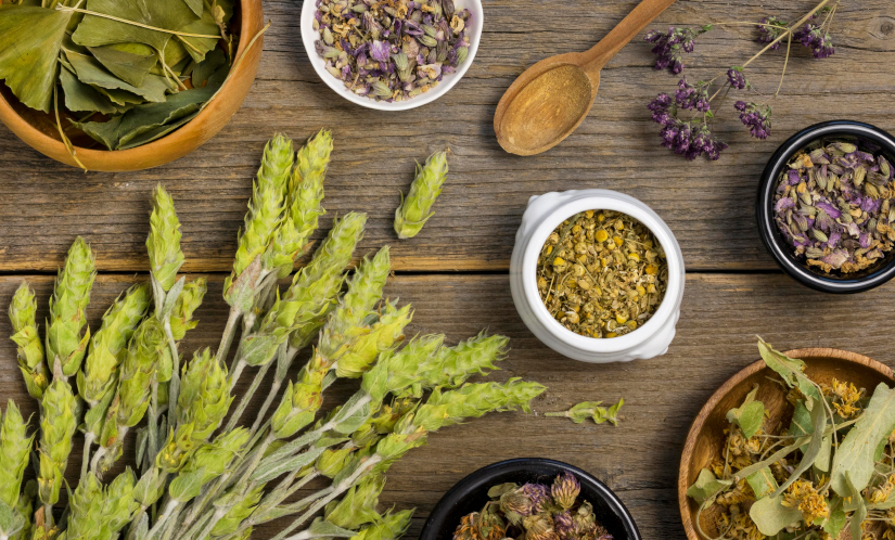 AYURVEDIC HERBS: THE CURE SOURCED FROM EARTH AND NOT LABS